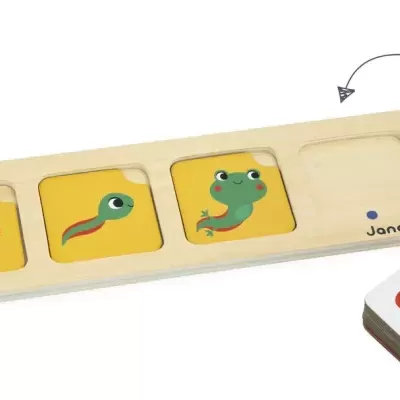 Jogo Cartas de Sequências da Natureza +3 anos J05083 Janod