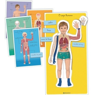 Jogo Corpo Humano Montessori 67742 Clementoni