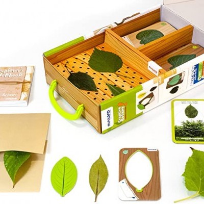 Jogo Creative Botany 45421 - MNL +3 anos