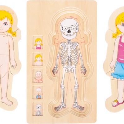 Puzzle Camadas Madeira Anatomia Menina 28pcs 5814 +3 anos Small Foot