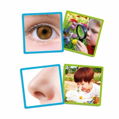 Jogo Os Cinco Sentidos 20610