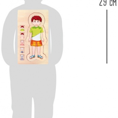 Puzzle Camadas Madeira Anatomia Menino 28pcs +3 anos 5842 Small Foot