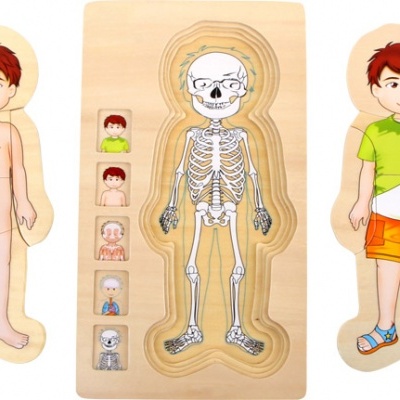 Puzzle Camadas Madeira Anatomia Menino 28pcs +3 anos 5842 Small Foot