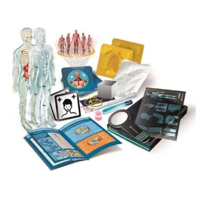 Super Anatomia - Como Somos Feitos? 67788 +8 anos