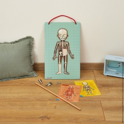 Corpo Humano Magnetic J05491 +7 anos Janod