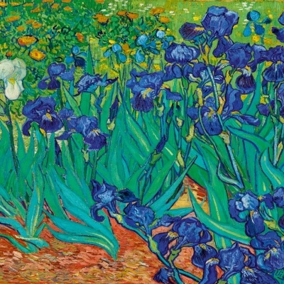 Puzzle Bluebird 1000 Vincent Van Gogh - Irises, 1889 60006