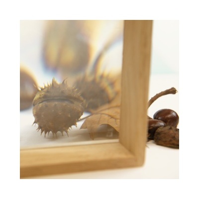 Blocos Madeira com Lupa 6und  TY-005