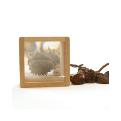 Blocos Madeira com Lupa 6und  TY-005