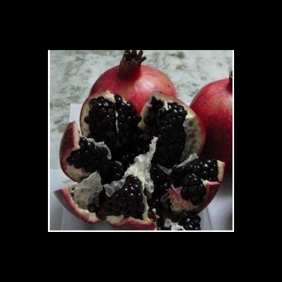 ROMANZEIRA DE FRUTO NEGRO