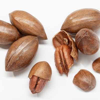 https://www.treepical.pt/product/noz-pecan