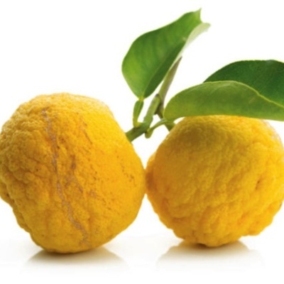 https://www.treepical.pt/product/limao-yuzu