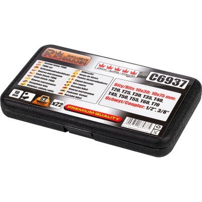 JOGO 22 BITS TORX RICHMANN C6937