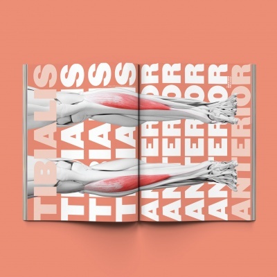 INSIDE Running as a lifestyle #14 INSIDE Running as a lifestyle #14