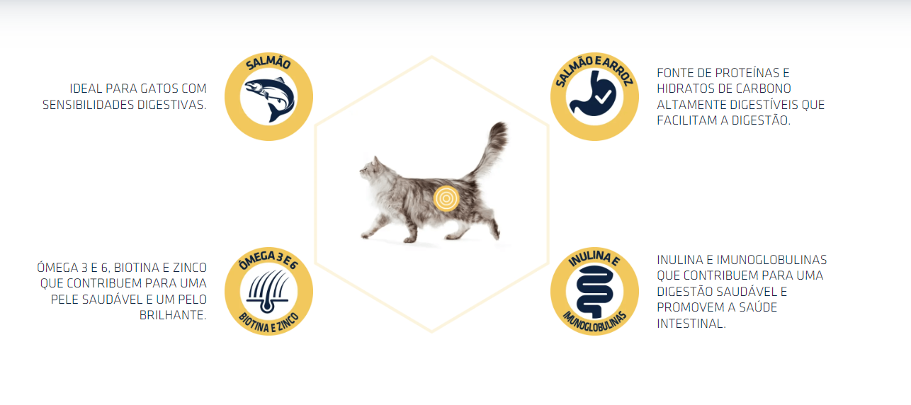 Gato cinzento com texto em círculos sobre benefícios para gatos