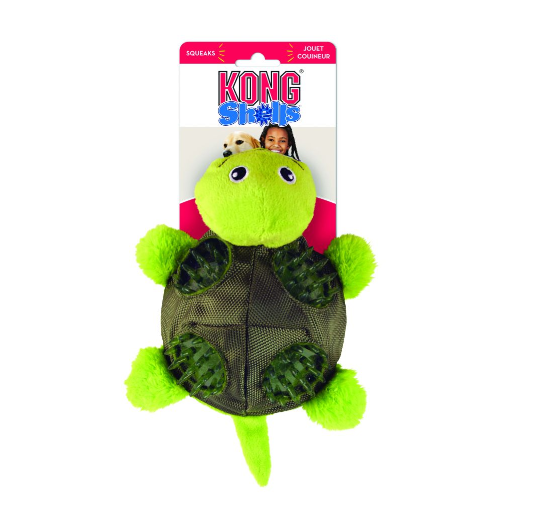 Tartaruga - Shells turtle Kong