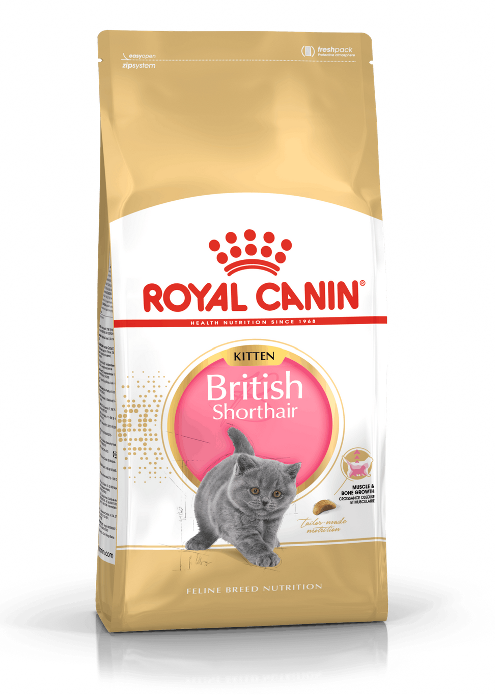 British Shorthair Kitten 2Kg
