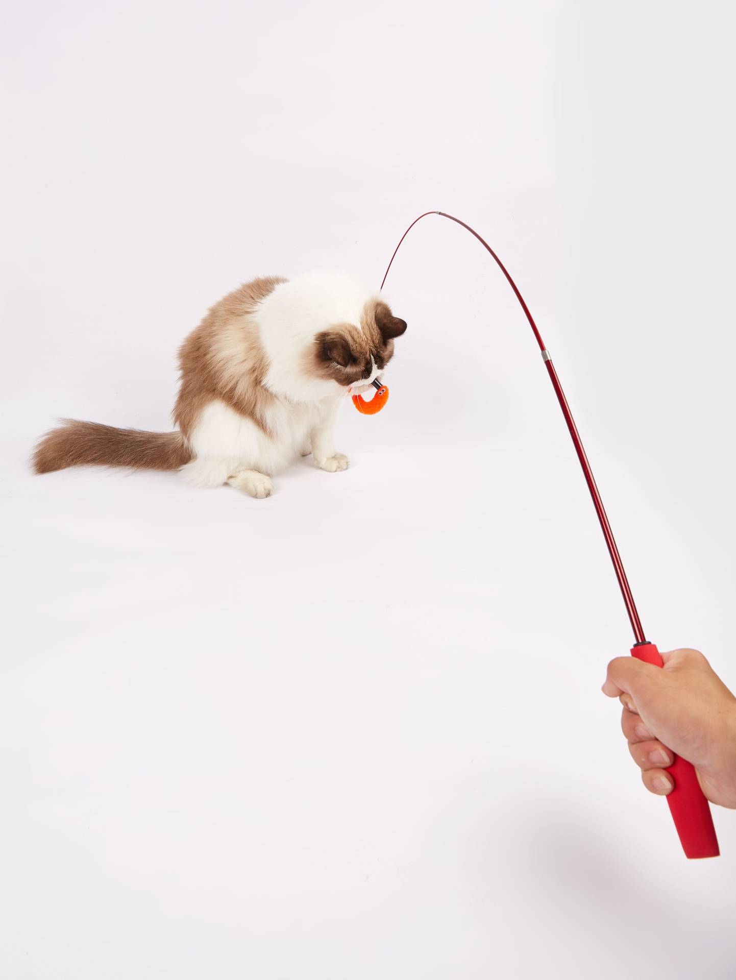 Cana Retrátil Brinquedo p/ Gato FOFOS