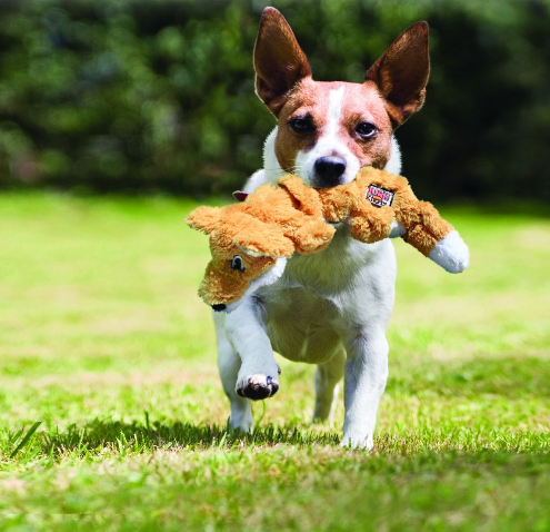 Raposa - Scrunch Knots  fox para cães S/M - Kong