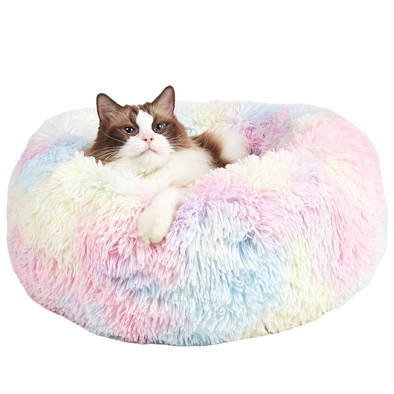 Gato branco e castanho deitado em cama redonda felpuda colorida pastel