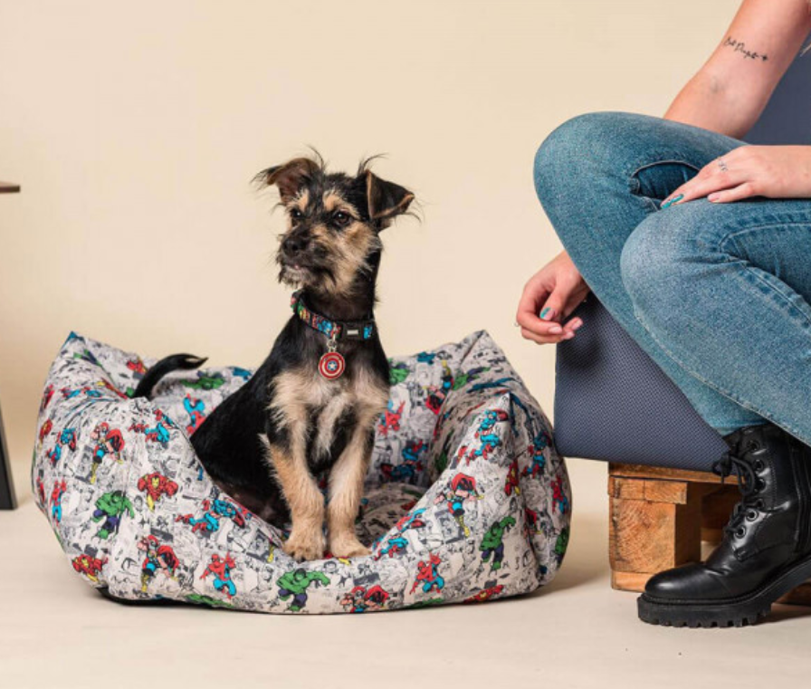 Cama Marvel Para Cães E Gatos