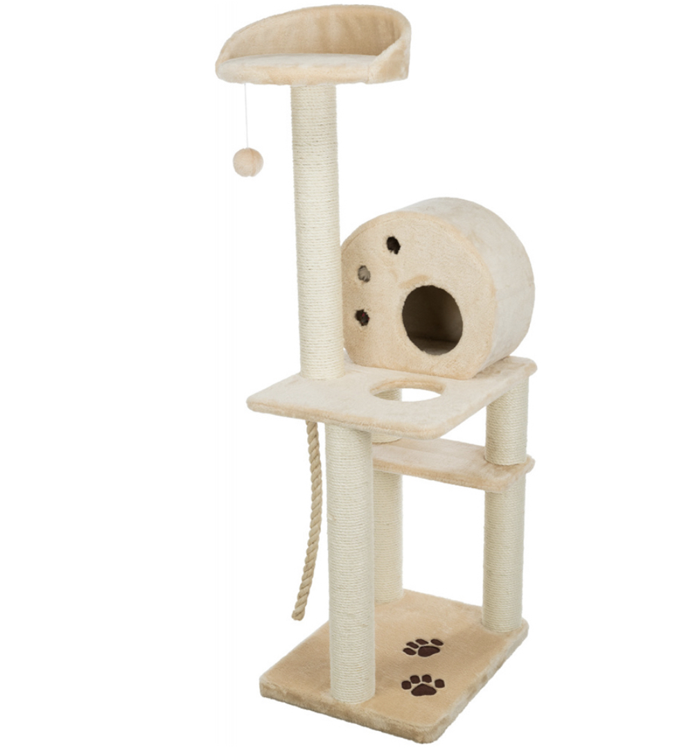 Arranhador Salamanca