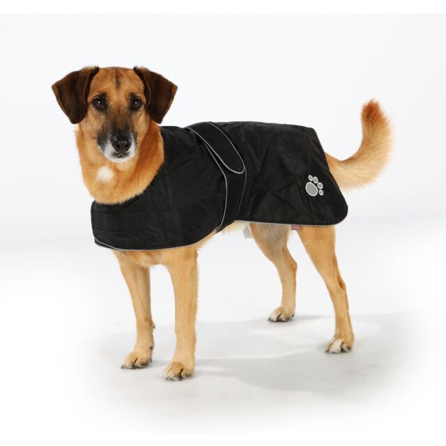 Cão com casaco preto para animais