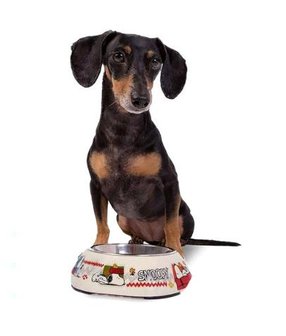 Gamela Snoppy Woodstock