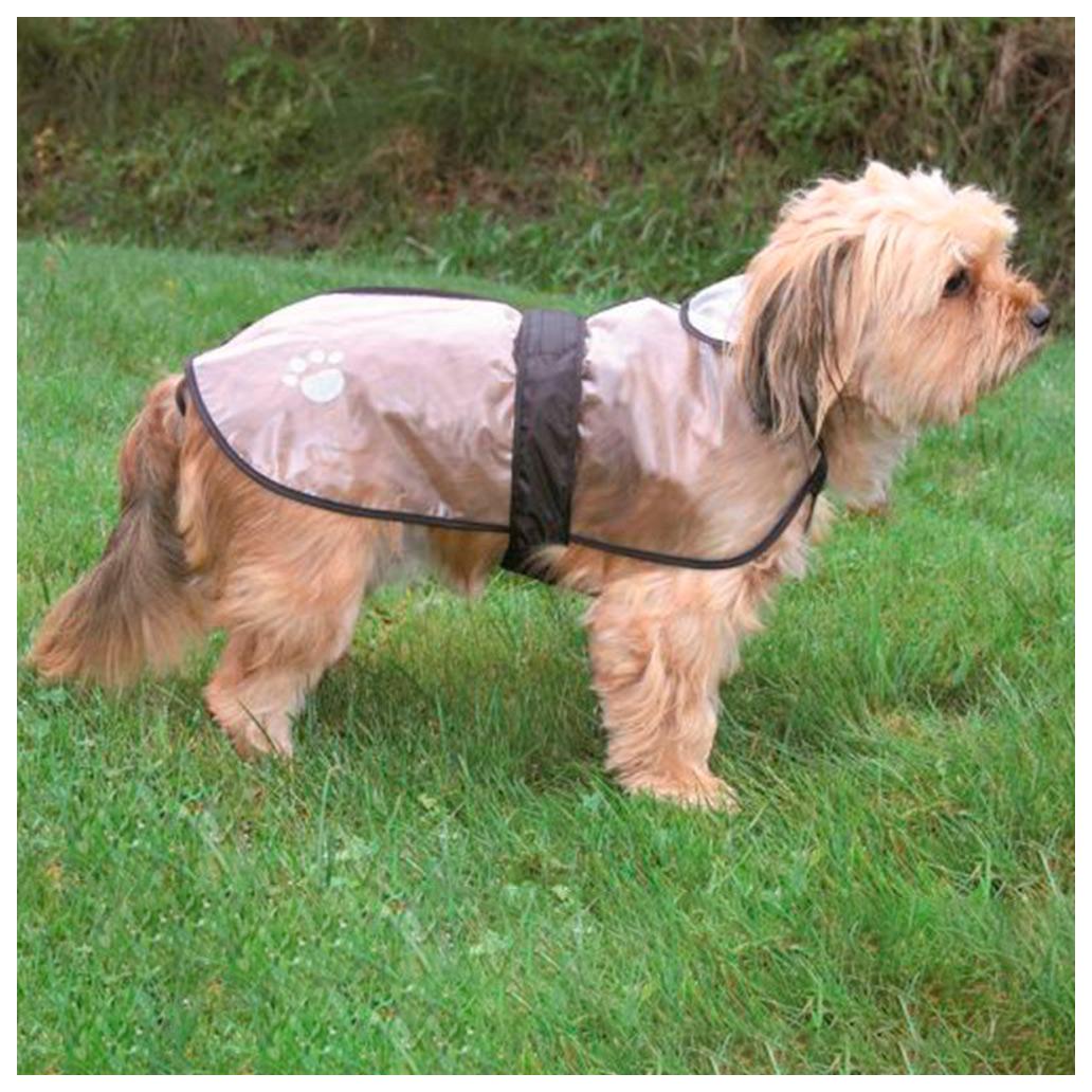 Cão com casaco impermeável bege com detalhes pretos numa área de relva