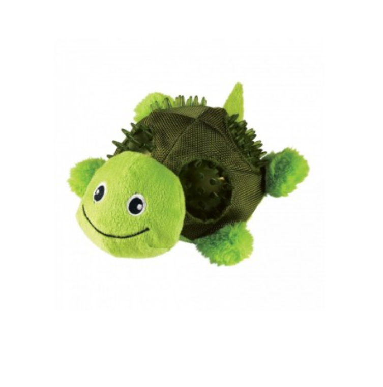 Tartaruga - Shells turtle Kong