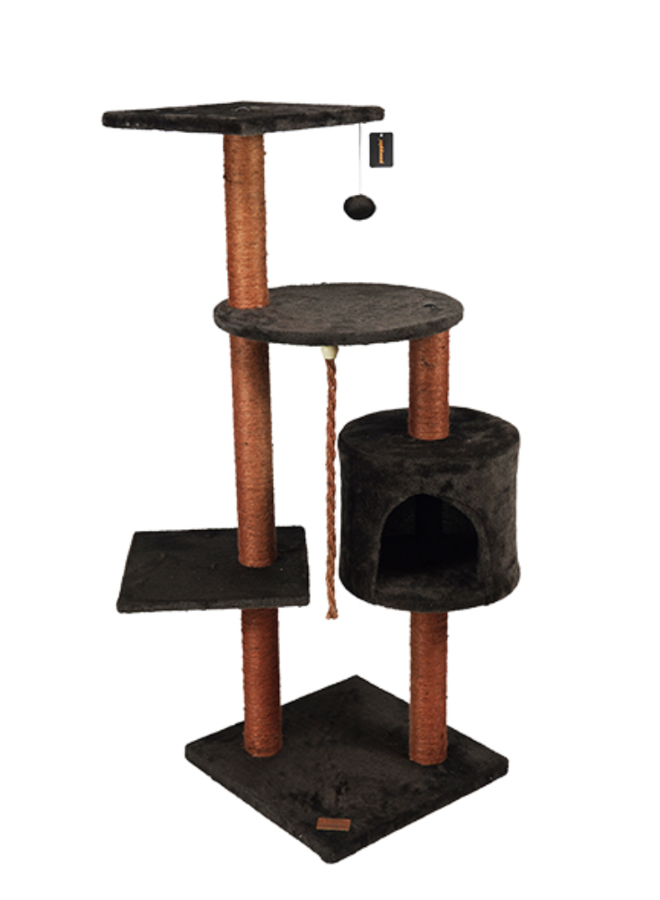 Arranhador "American Shorthair" para gatos