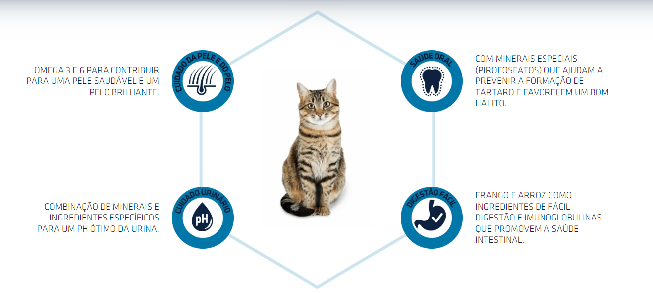 Cat Ração Seca - Frango e Arroz - Advance