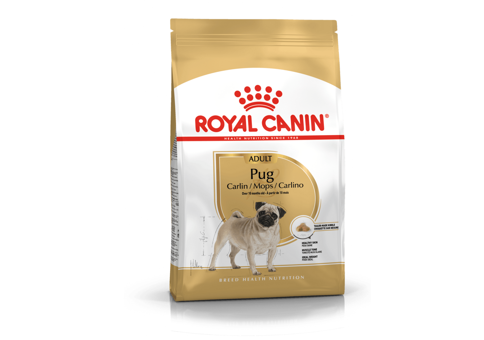 Pug Adult 3Kg