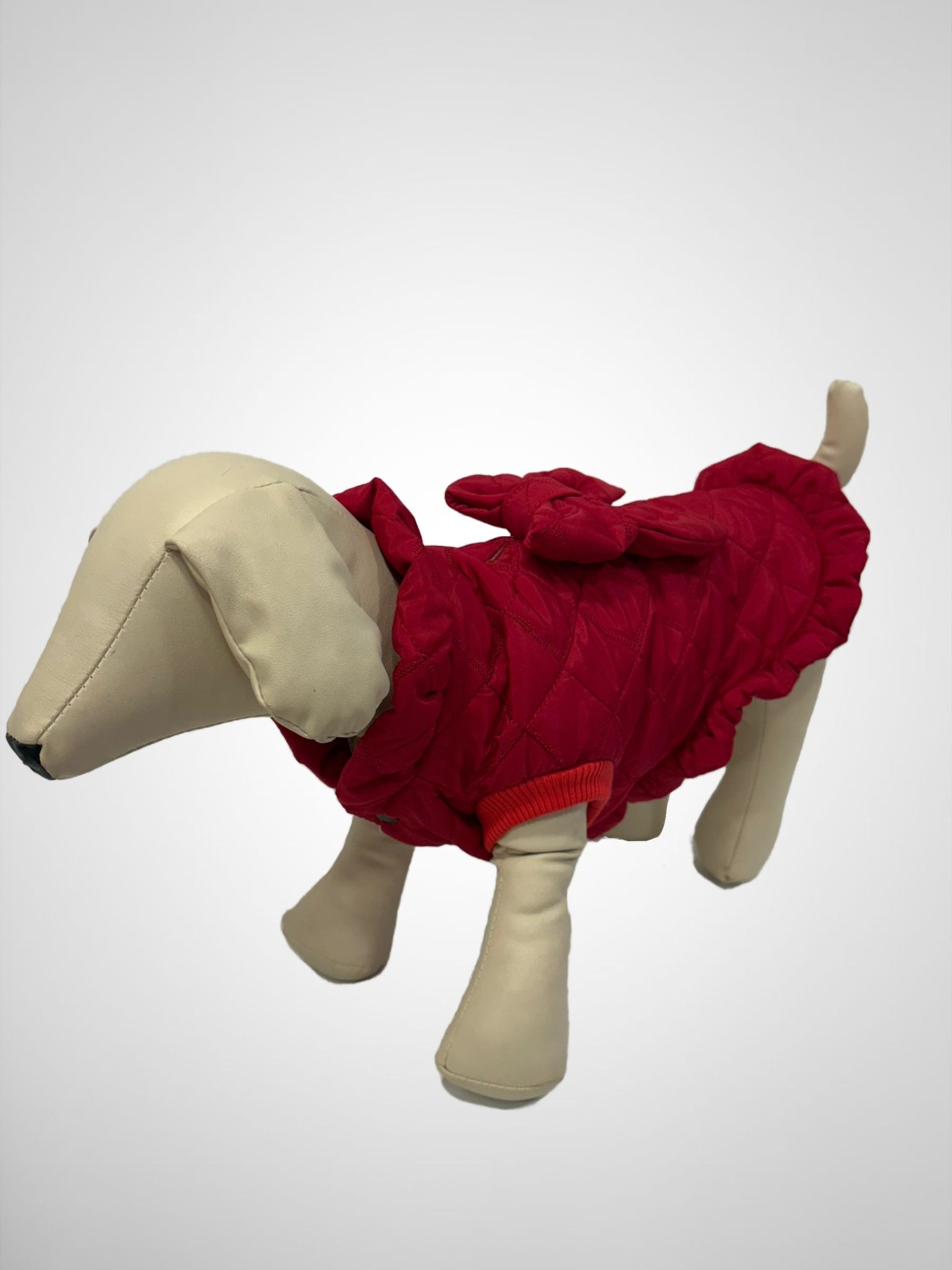 Modelo de cão bege com casaco acolchoado vermelho e laço