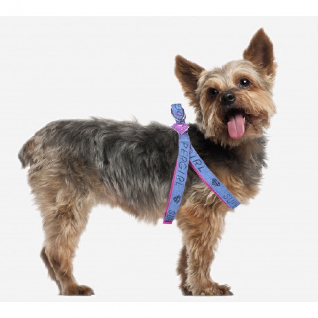 Warner Bros - Arnês Super Girl