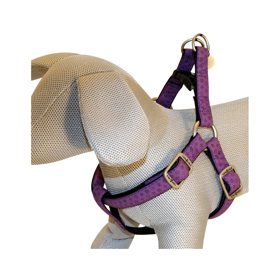 Peitoral Mylord Roxo