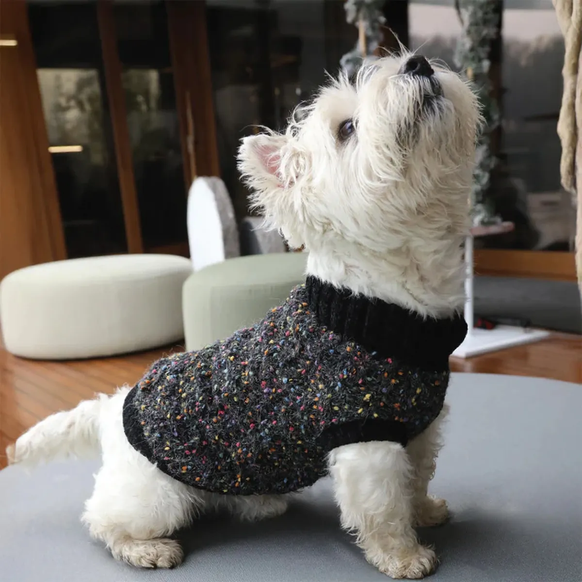 Camisola Firework para cães