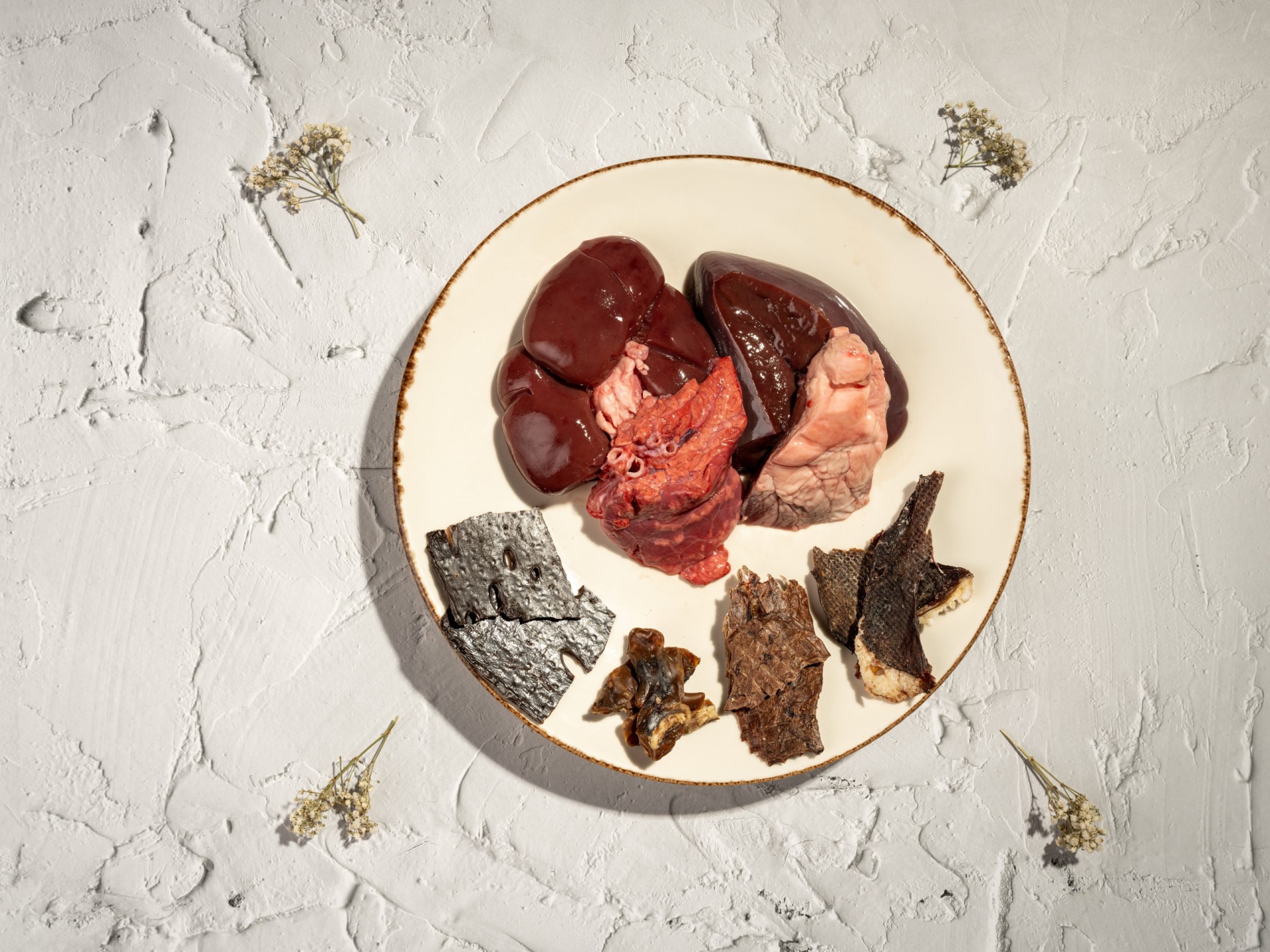 Alimento complementar desidratado para cães e gatos, 100% natural.