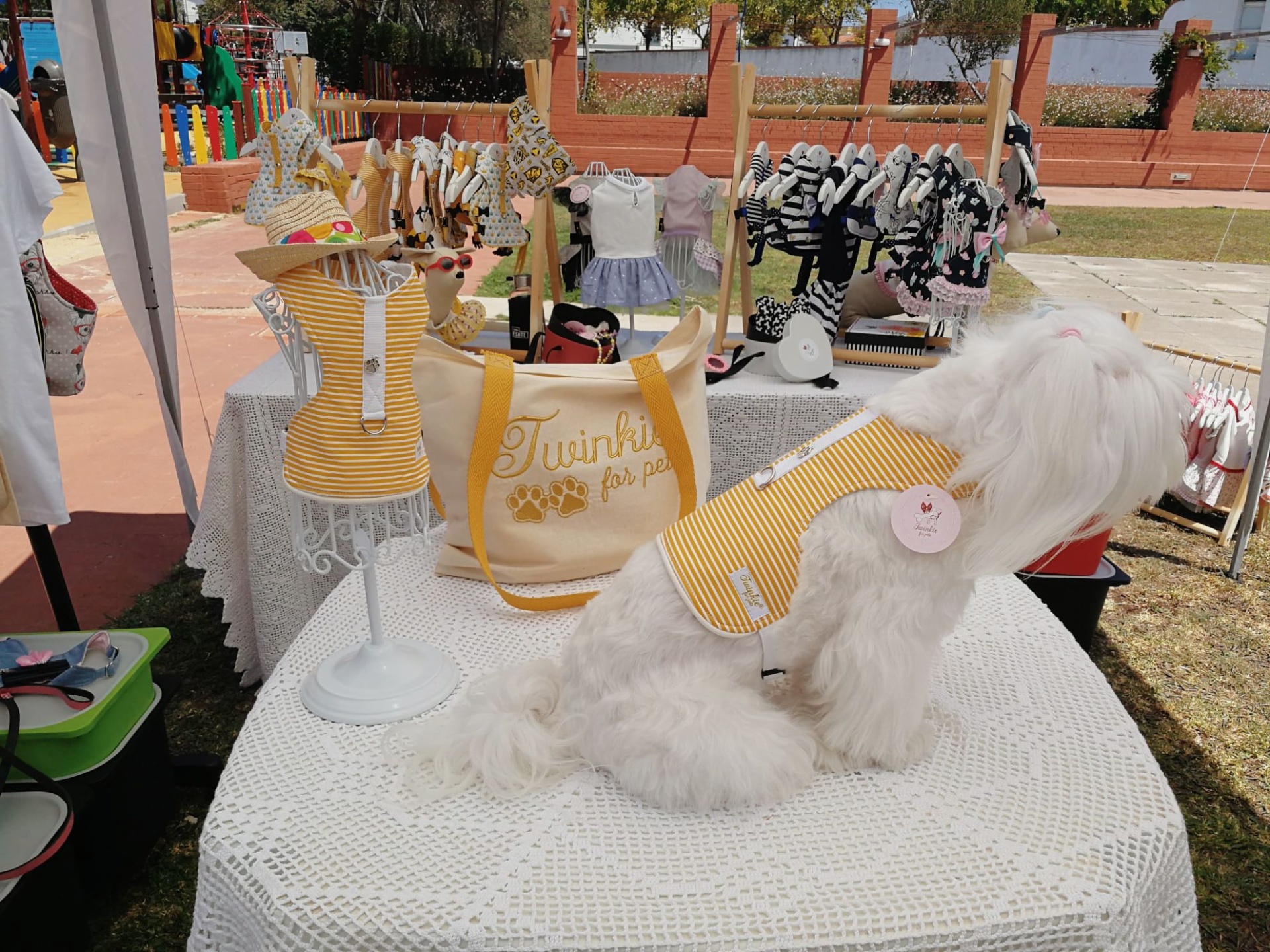 Peitoral Riscas Amarelo