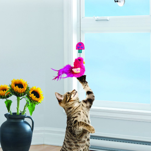Gato a brincar com brinquedo de pássaro suspenso junto a janela e vaso com girassóis