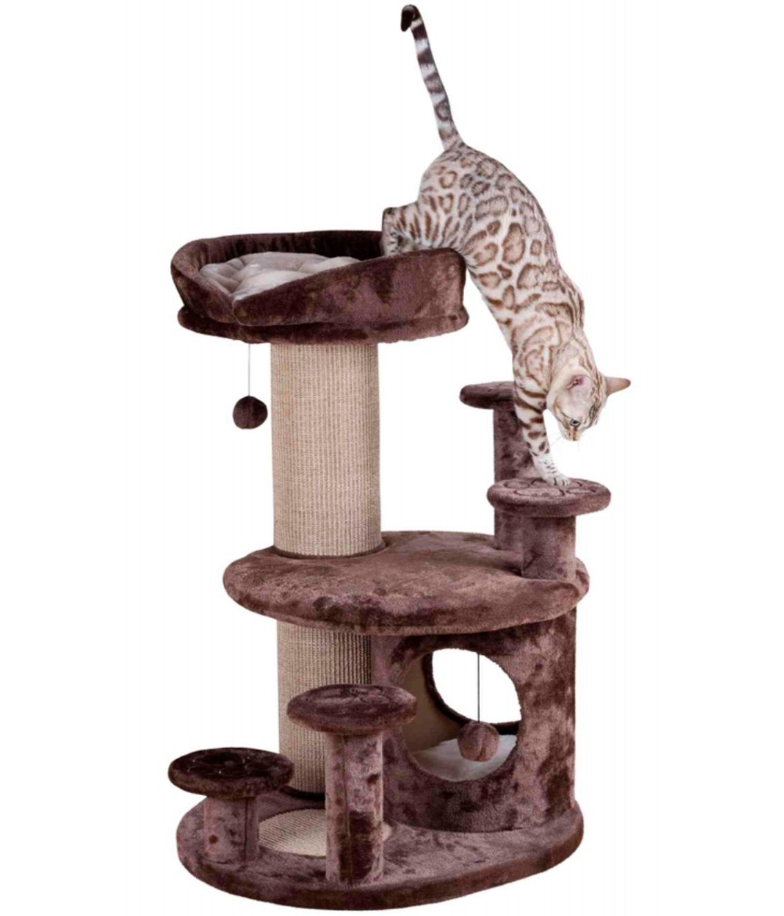 Arranhador "Emil" Sénior para gatos