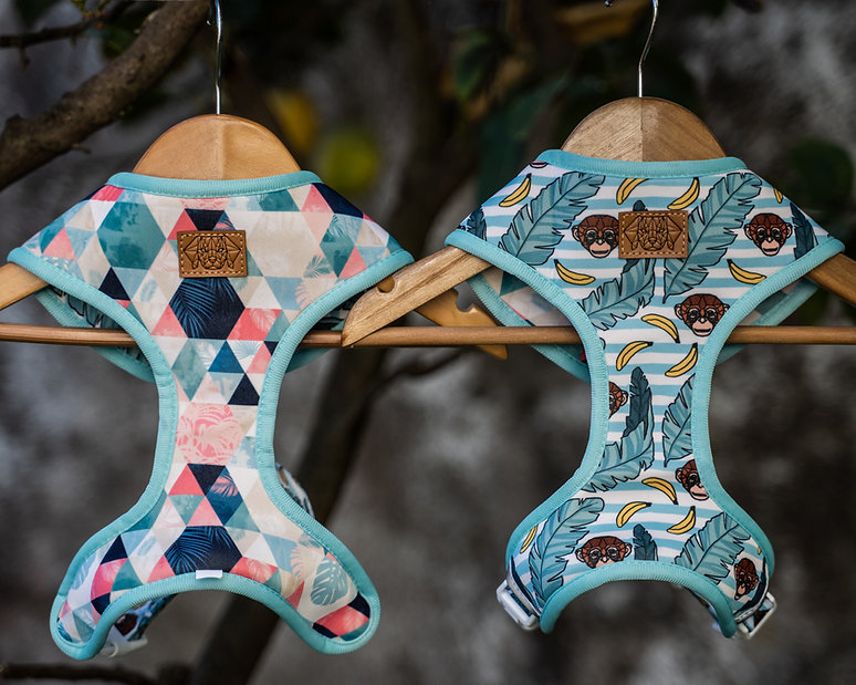 Peitoral Reversível Tropical Monkey