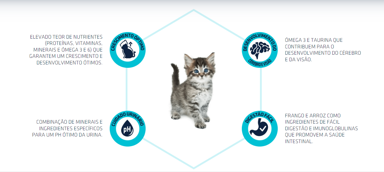 Advance Kitten - Ração Seca Frango & Arroz