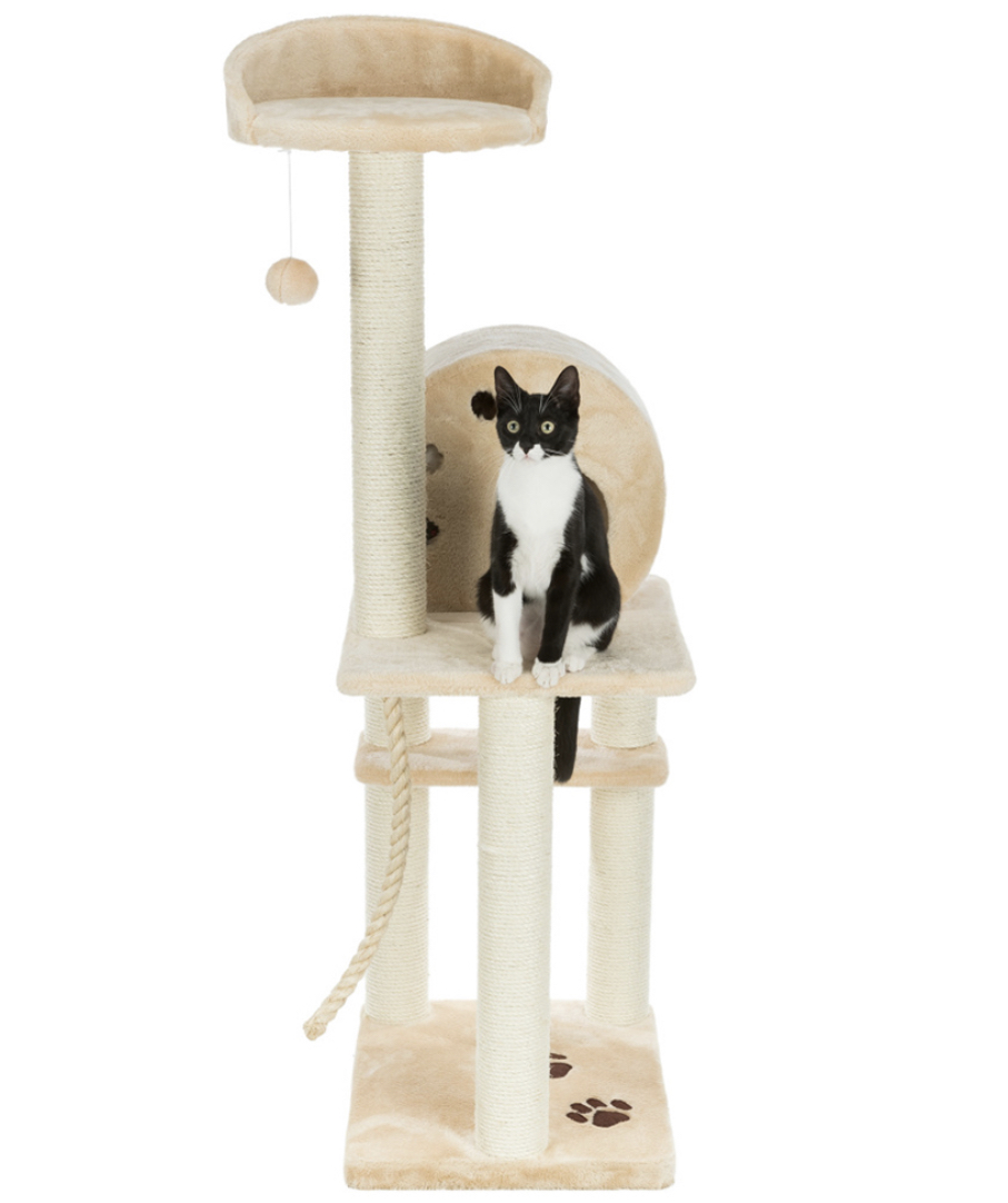 Arranhador Salamanca