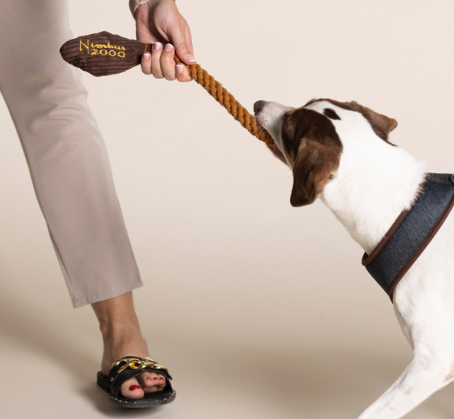 Disney - Corda Dental Harry Potter Nimbus 2000 para Cães