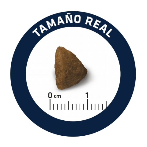 Pedaço triangular de ração marrom com régua mostrando tamanho real