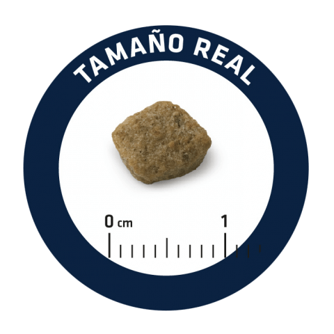 Advance Dog Senior Mini