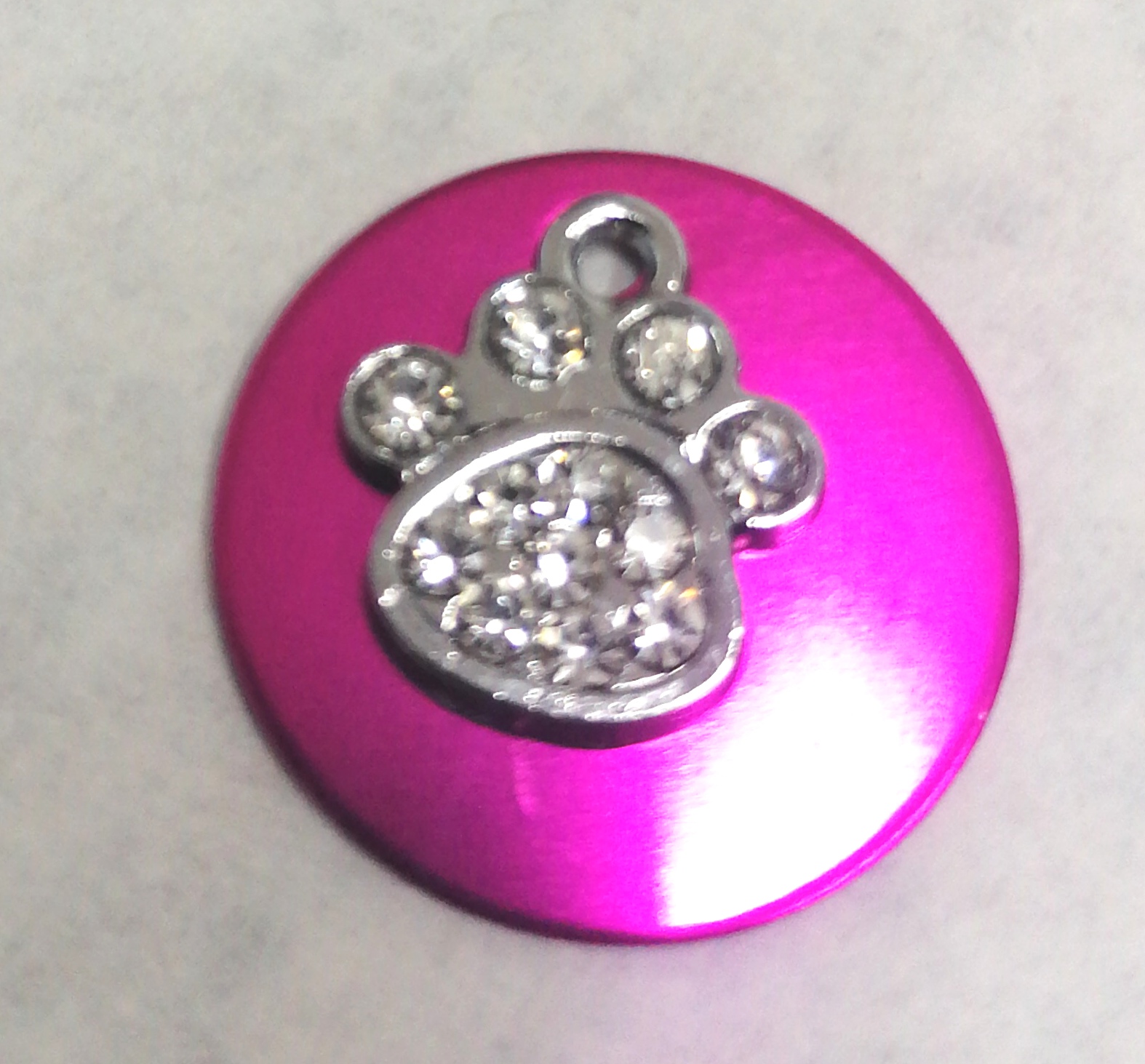 Medalha com pendente, pata brilhante