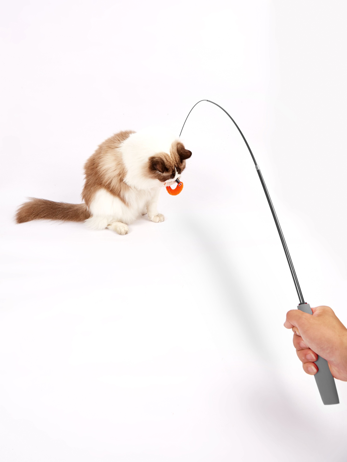 Cana Retrátil Brinquedo p/ Gato FOFOS