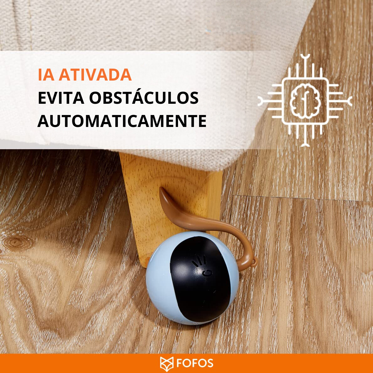 Brinquedo Bola Mágica para Gato