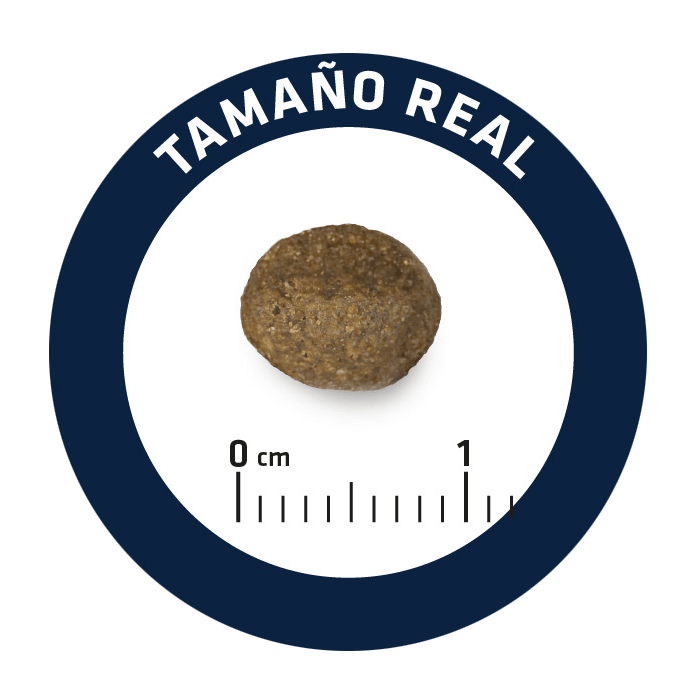 Croquete marrom pequeno com escala em centímetros e texto TAMAÑO REAL